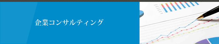 成長意欲のある中小企業経営者のための継続コンサルティングコース